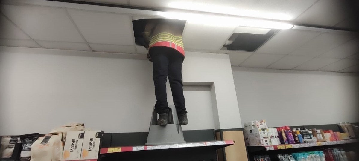 hatayda kedinin imdadina itfaiye yetisti 0 ABbWVqCs