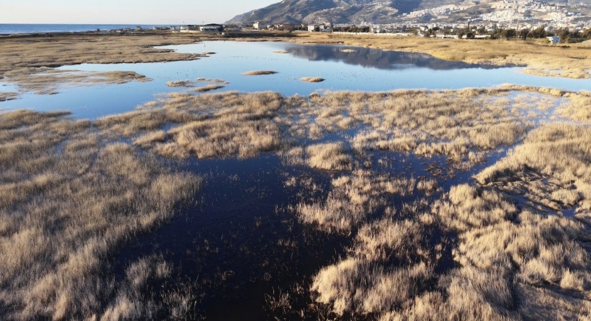 hatayda milleyha kus cenneti yagislarla yeniden doldu 7 Ldk3ZwmZ