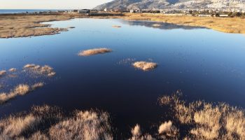 hatayda milleyha kus cenneti yagislarla yeniden doldu 7tm9MQ6e