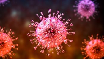 hindistanda goruldu nipah virusu yayiliyor mu QF1hx4OQ