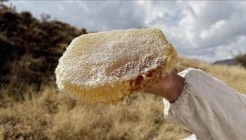 ilgaz bali satis rekoruyla guinnesse girdi kilosu 11 bin 118 euro Lwavm4yf