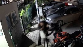 izmirde takintili eski erkek arkadas gozde akbabayi hayattan kopardi wvwPeXAq