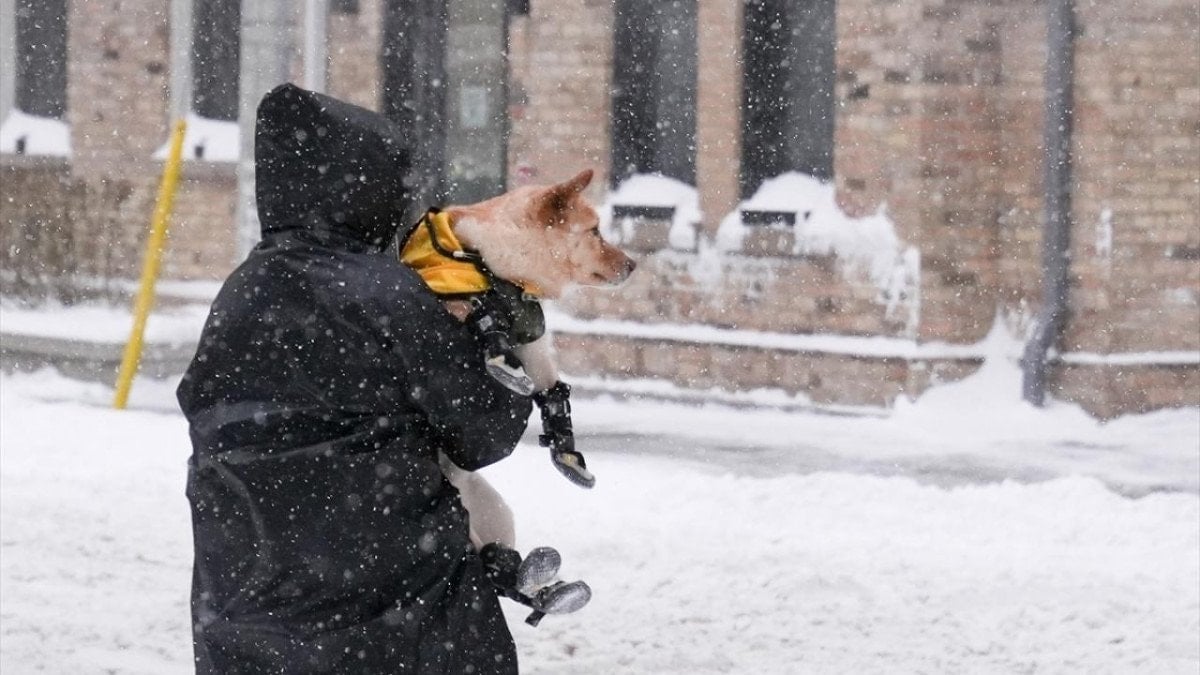 kanadada kar firtinasi etkili oldu 0 9BnyTZU3