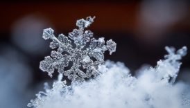 kar yagisinin faydalari nelerdir fDfkT3xL