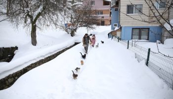 kastamonuda kar altindaki koyde merhamet hik yesi imam kedileri ac birakmiyor KQt8XAmV