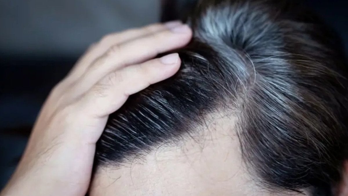 Kuaförlerin gizli tutmak istediği yöntem: Beyaz saçlar boyasız nasıl kapanır? 1 kuaforlerin gizli tutmak istedigi yontem beyaz saclar boyasiz nasil kapanir 0 Lq5Jjten