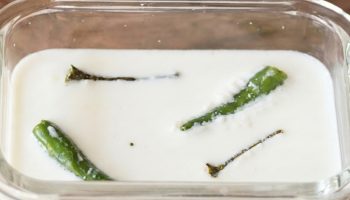 mayam yok derdi bitti icine 2 tane atin kalip gibi yogurt yapin HHD9FeCR