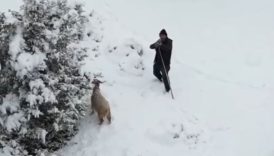 nallihanda coban yaklasan droneu tehdit sanip tufek dogrulttu bLtxcpJF