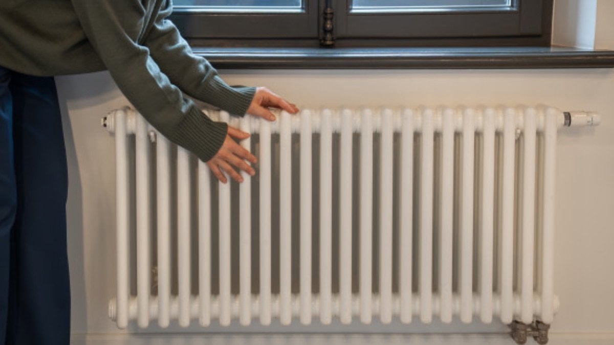 petekler neden genellikle pencerenin altinda meger sebebi buymus 1 Lvkm8Avb