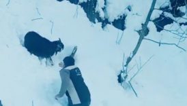 rizede karlar arasinda kalan keciye ekipler yetisti KO5IgEOF