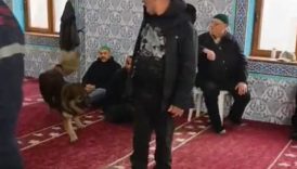 zonguldakta camiye basibos kopek girdi 4b9brQsU