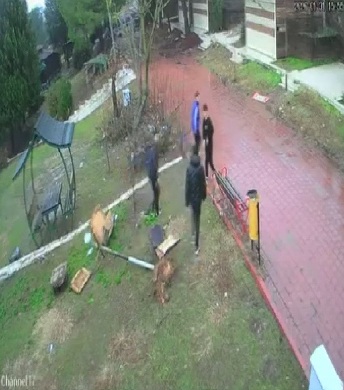 adanada 4 cocuk parktaki kus yuvasini parcaladi 0 4EgUpD1Z