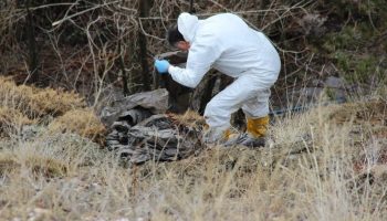 corumdaki cinayette yasli adamin kesik basi ormanda bulundu TFuPzLfE