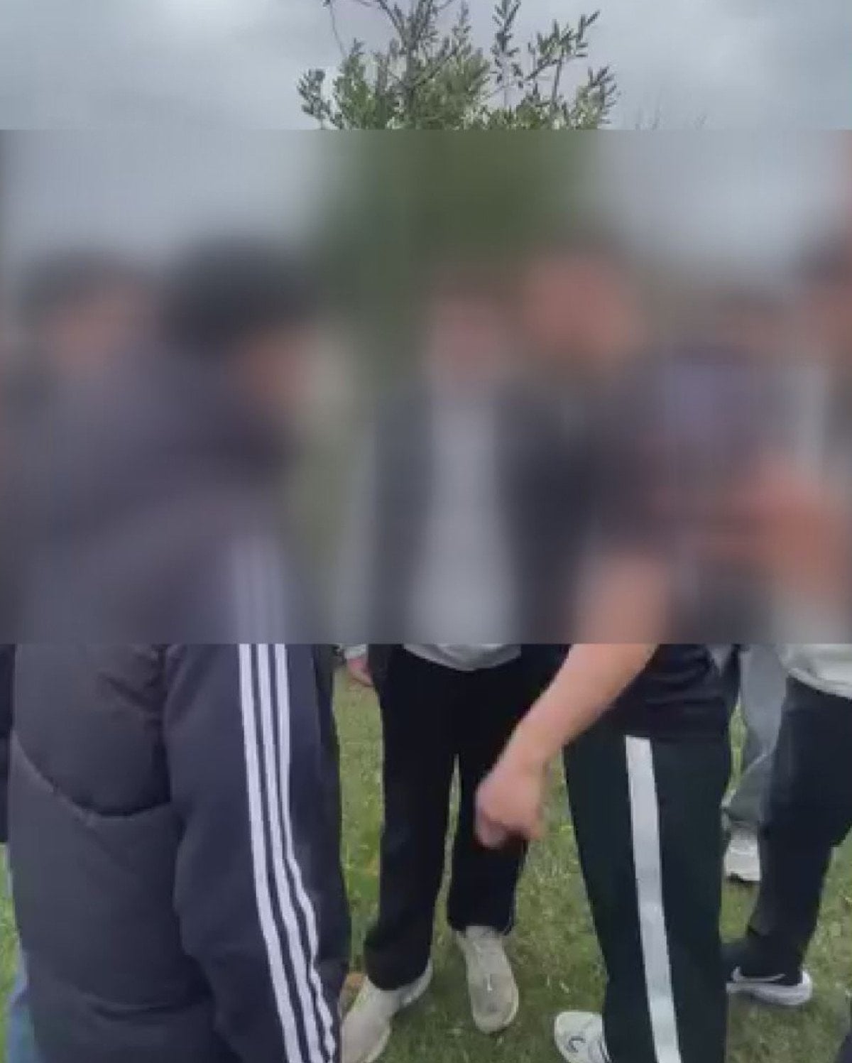 istanbulda yasanan akran zorbaligina iliskin 6 supheli tutuklandi 0 8EnWPLk9