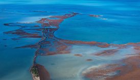 kuraklik gediz deltasinda kirlilik baskisini derinlestiriyor ew38IfQr