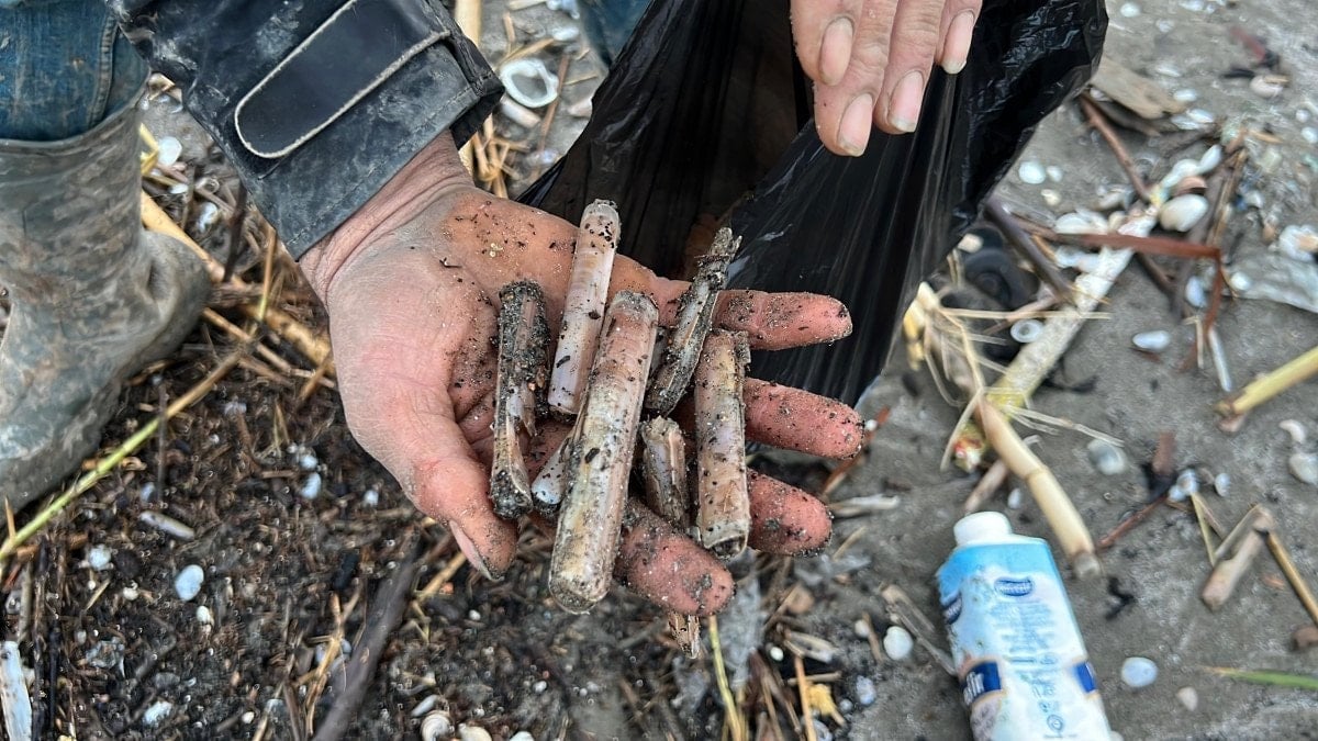 mersinde firtina sonrasi sahile vuran binlerce kargi midyesini balikcilar topladi 3 sJ2j82Qm