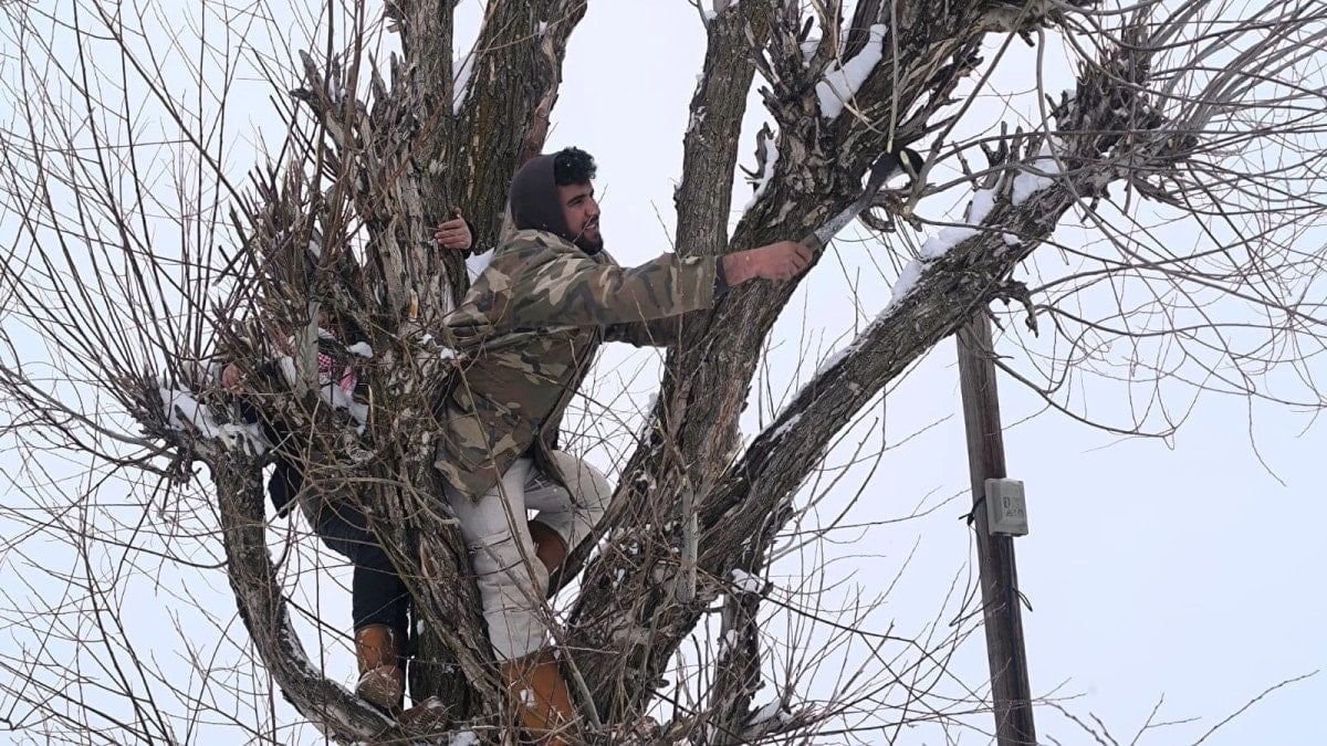 musta besicilerden alternatif yem yontemi 0 eG1FMW3z