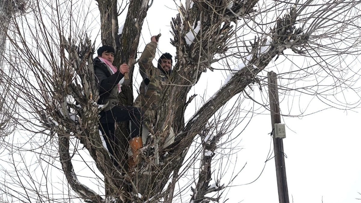 musta besicilerden alternatif yem yontemi 2