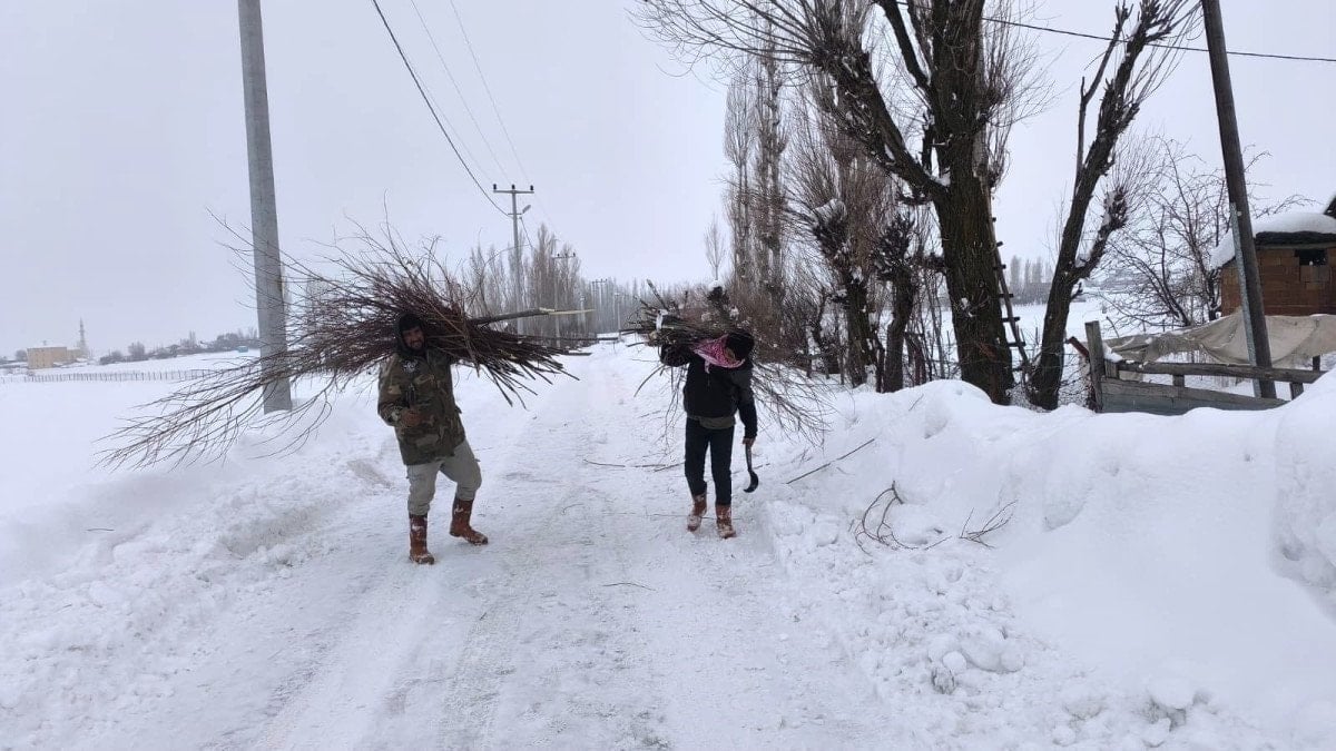 musta besicilerden alternatif yem yontemi 3