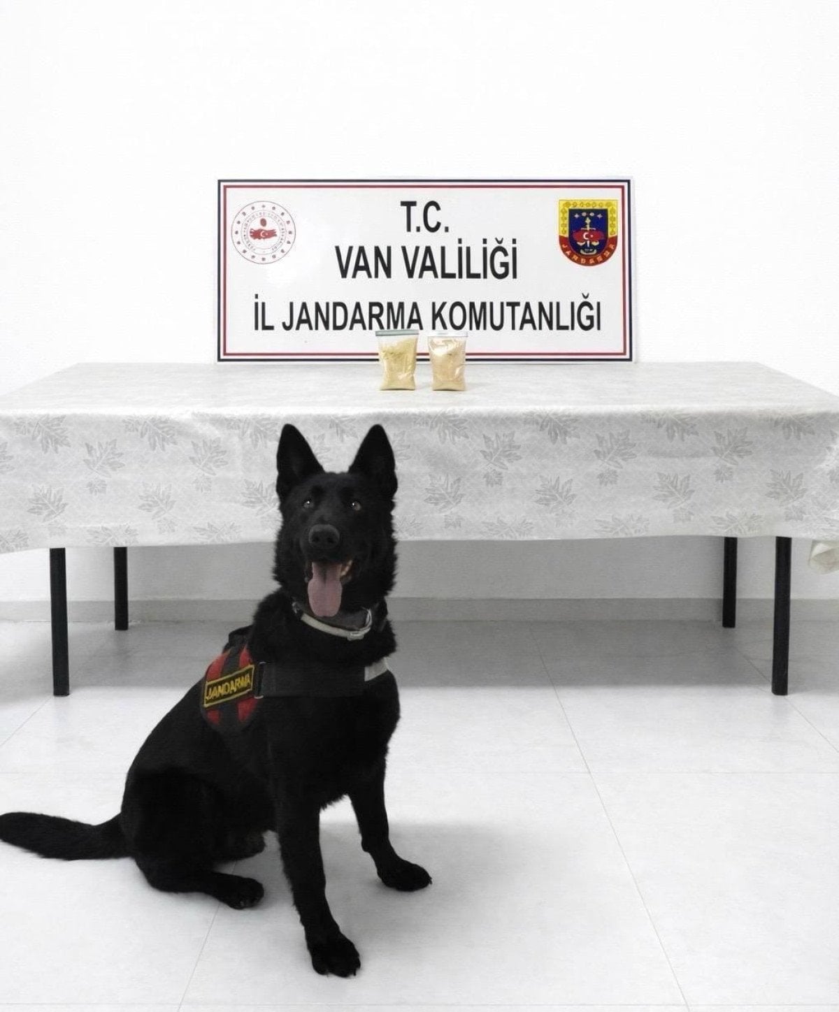 vanda iranli yolcu 510 gram eroin ile yakalandi 0 GPQjUGhk